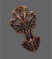 [Grace Shield]